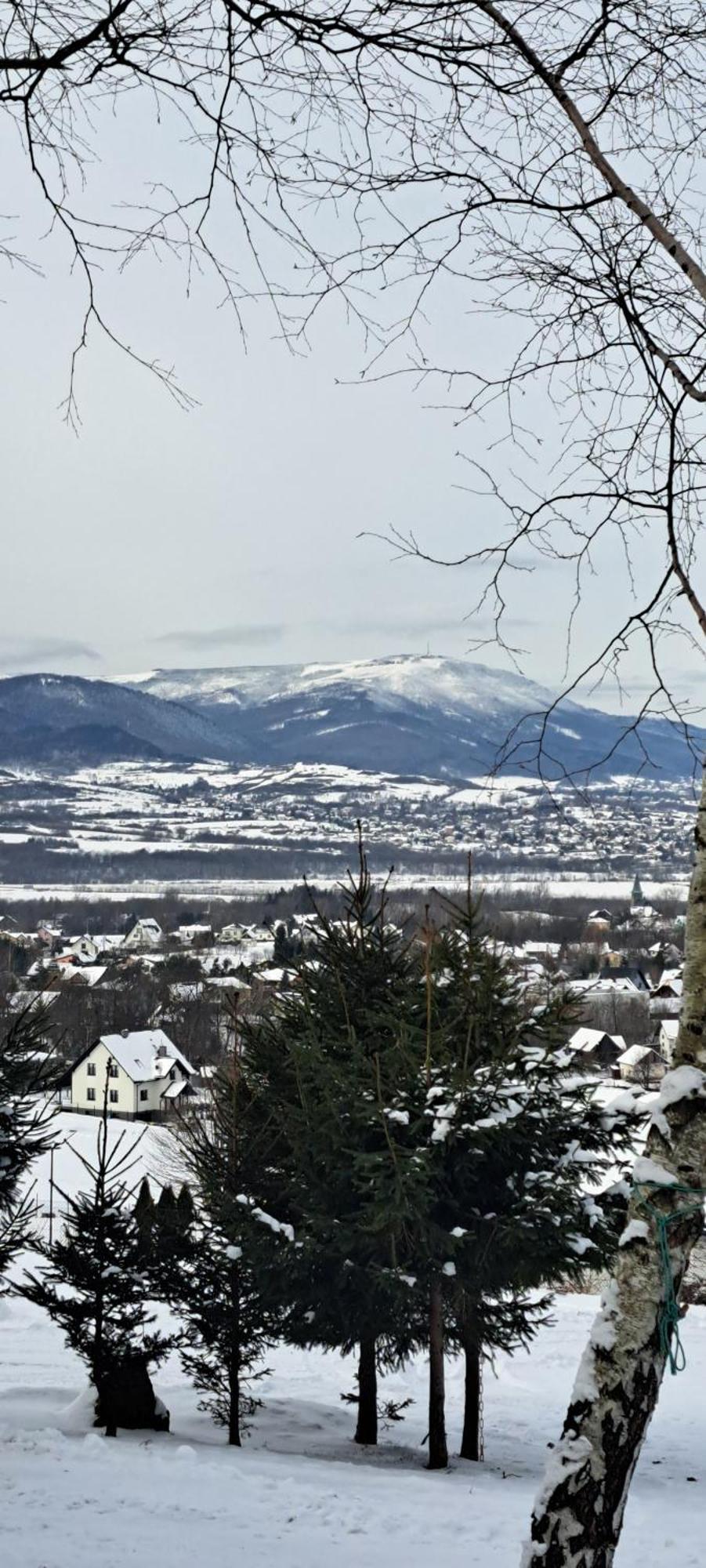 Swierkowy Zakatek U Bacy Wieprz (Zywiec) Exterior foto