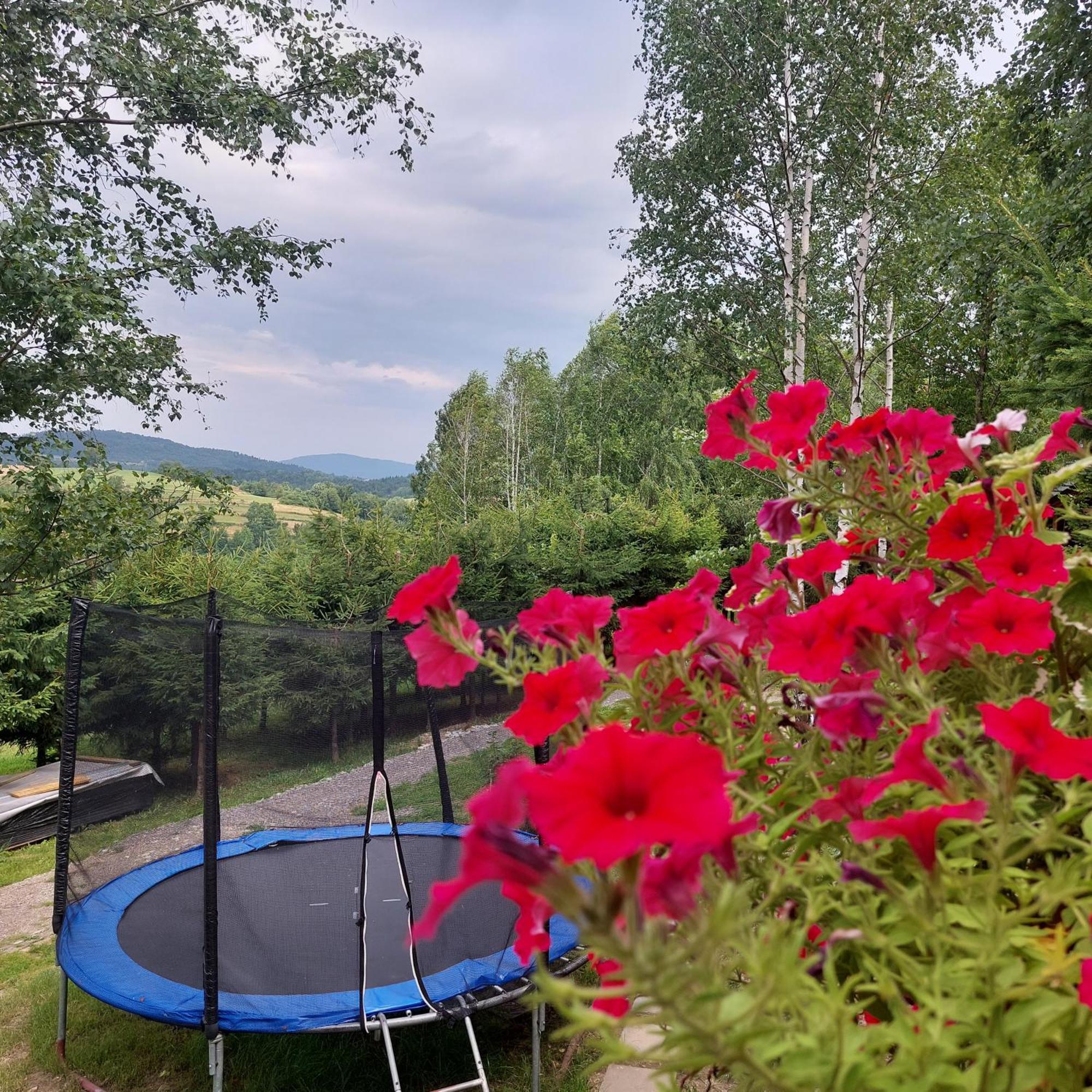 Swierkowy Zakatek U Bacy Wieprz (Zywiec) Exterior foto